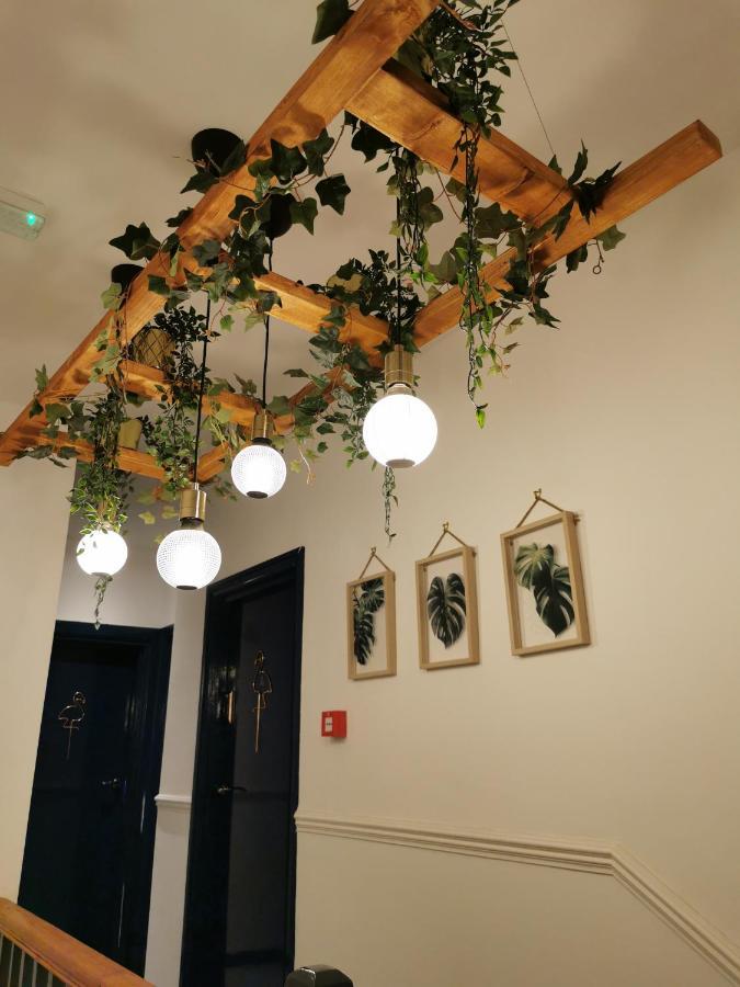 Flamingo Lodge Torquay Kültér fotó